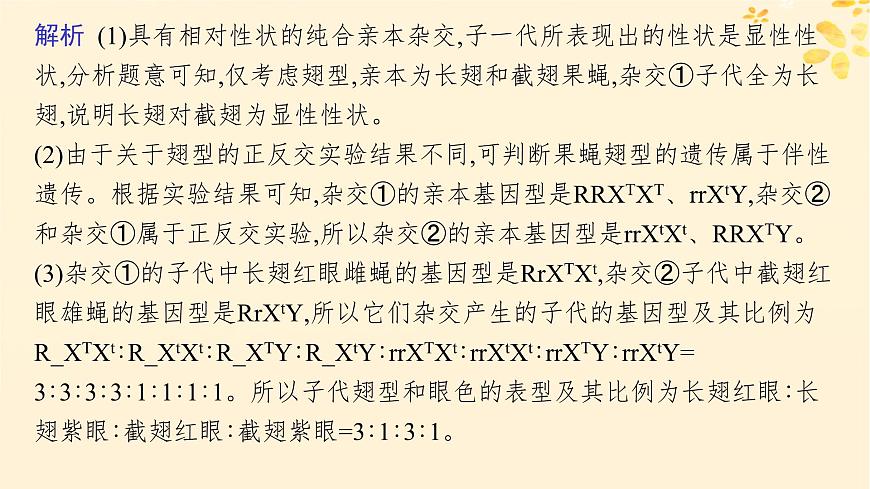 備戰(zhàn)2025屆新高考生物一輪總復(fù)習(xí)第5單元孟德爾遺傳定律與伴性遺傳專題精研課7探究基因在染色體上的位置課件第5頁
