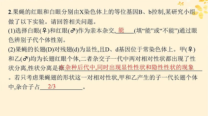 備戰(zhàn)2025屆新高考生物一輪總復(fù)習(xí)第5單元孟德爾遺傳定律與伴性遺傳專題精研課7探究基因在染色體上的位置課件第6頁