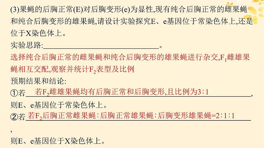 備戰(zhàn)2025屆新高考生物一輪總復(fù)習(xí)第5單元孟德爾遺傳定律與伴性遺傳專題精研課7探究基因在染色體上的位置課件第7頁