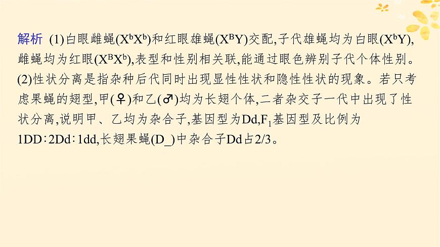 備戰(zhàn)2025屆新高考生物一輪總復(fù)習(xí)第5單元孟德爾遺傳定律與伴性遺傳專題精研課7探究基因在染色體上的位置課件第8頁