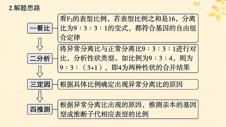 备战2025届新高考生物一轮总复习第5单元孟德尔遗传定律与伴性遗传专题精研课6自由组合定律中的特殊比例课件第5页