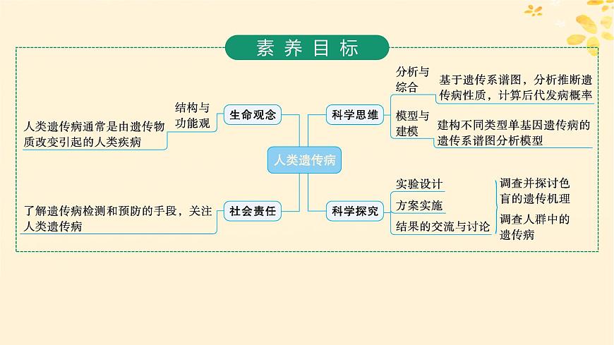 備戰(zhàn)2025屆新高考生物一輪總復習第5單元孟德爾遺傳定律與伴性遺傳第22講人類遺傳病課件第2頁