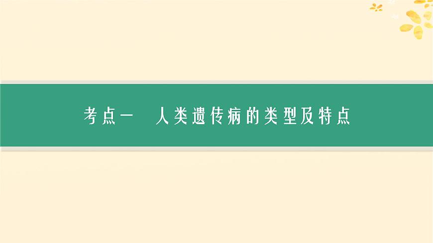 備戰(zhàn)2025屆新高考生物一輪總復習第5單元孟德爾遺傳定律與伴性遺傳第22講人類遺傳病課件第3頁