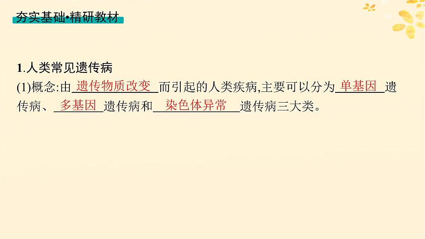 備戰(zhàn)2025屆新高考生物一輪總復習第5單元孟德爾遺傳定律與伴性遺傳第22講人類遺傳病課件第4頁