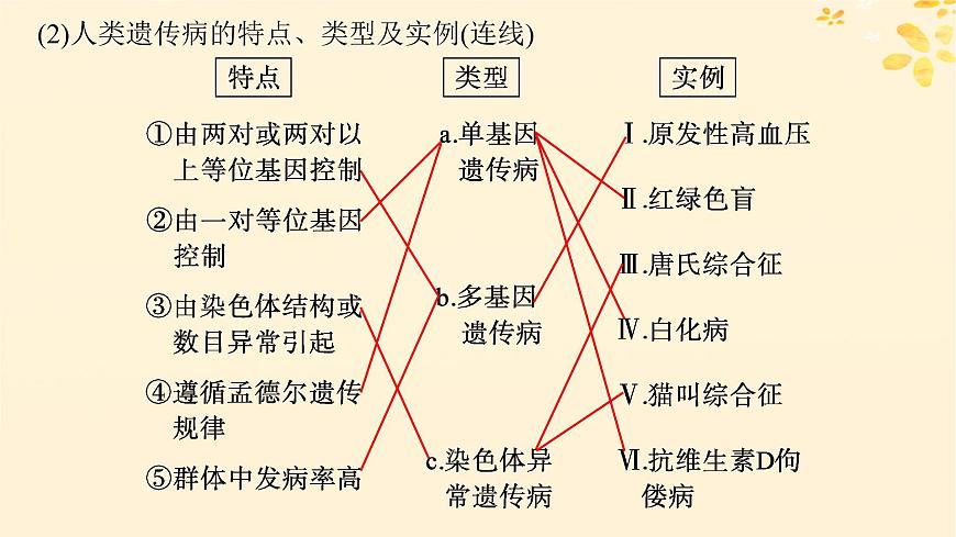 備戰(zhàn)2025屆新高考生物一輪總復習第5單元孟德爾遺傳定律與伴性遺傳第22講人類遺傳病課件第5頁