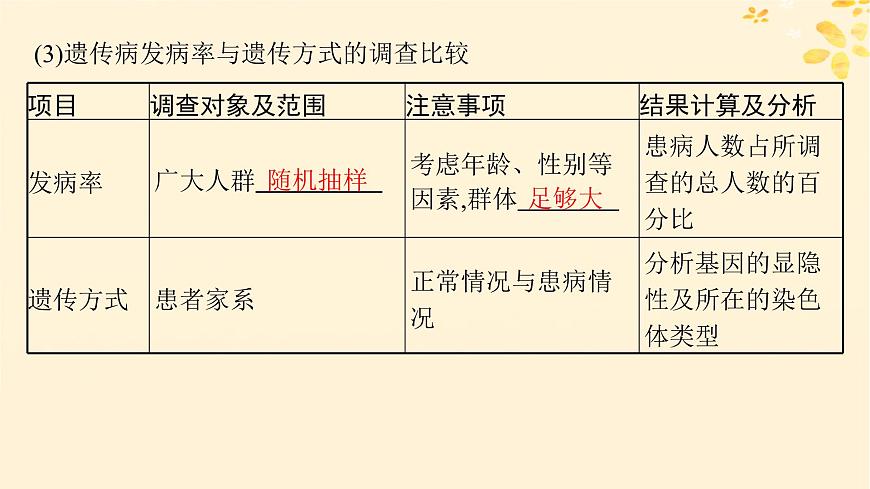 備戰(zhàn)2025屆新高考生物一輪總復習第5單元孟德爾遺傳定律與伴性遺傳第22講人類遺傳病課件第6頁