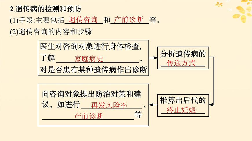 備戰(zhàn)2025屆新高考生物一輪總復習第5單元孟德爾遺傳定律與伴性遺傳第22講人類遺傳病課件第7頁