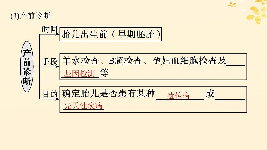 備戰(zhàn)2025屆新高考生物一輪總復習第5單元孟德爾遺傳定律與伴性遺傳第22講人類遺傳病課件第8頁