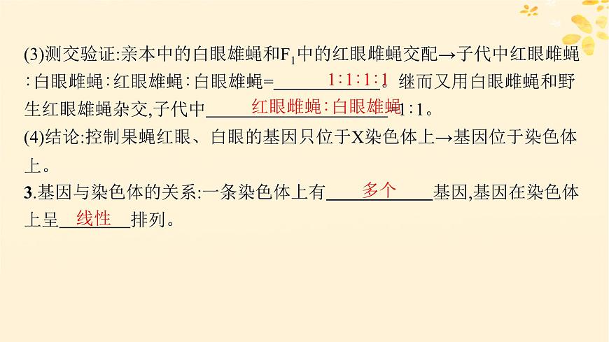 備戰(zhàn)2025屆新高考生物一輪總復(fù)習(xí)第5單元孟德?tīng)栠z傳定律與伴性遺傳第21講基因在染色體上伴性遺傳課件第7頁(yè)
