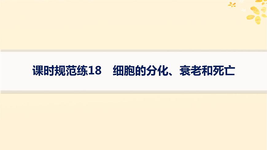 備戰(zhàn)2025屆新高考生物一輪總復習第4單元細胞的生命歷程課時規(guī)范練18細胞的分化衰老和死亡課件第1頁