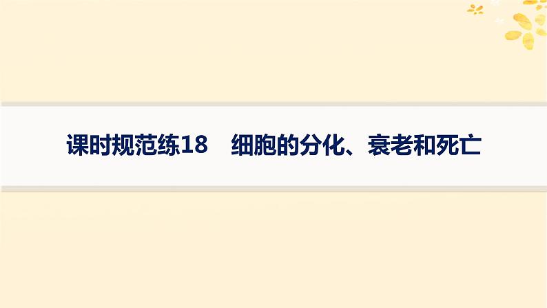 备战2025届新高考生物一轮总复习第4单元细胞的生命历程课时规范练18细胞的分化衰老和死亡课件01