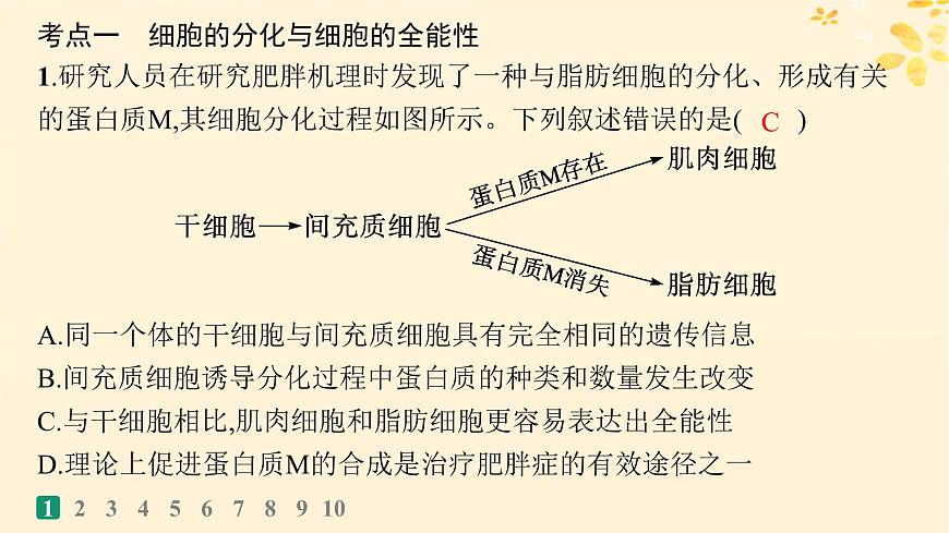 備戰(zhàn)2025屆新高考生物一輪總復習第4單元細胞的生命歷程課時規(guī)范練18細胞的分化衰老和死亡課件第3頁