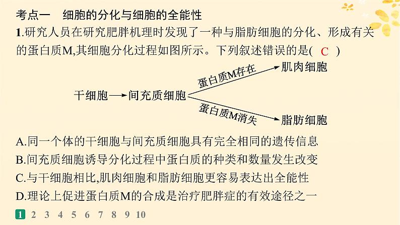 备战2025届新高考生物一轮总复习第4单元细胞的生命历程课时规范练18细胞的分化衰老和死亡课件03