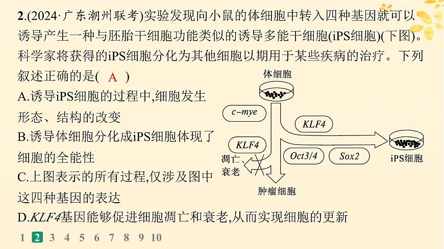備戰(zhàn)2025屆新高考生物一輪總復習第4單元細胞的生命歷程課時規(guī)范練18細胞的分化衰老和死亡課件第5頁