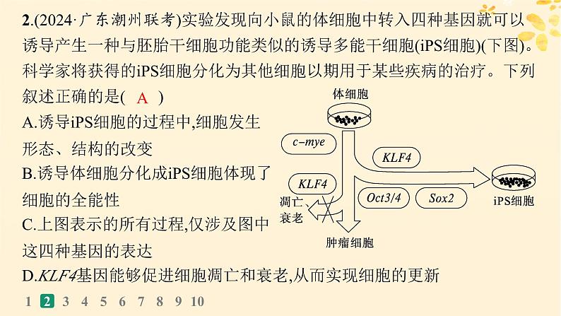 备战2025届新高考生物一轮总复习第4单元细胞的生命历程课时规范练18细胞的分化衰老和死亡课件05