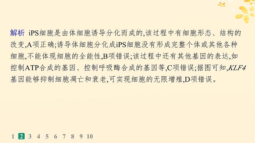 備戰(zhàn)2025屆新高考生物一輪總復習第4單元細胞的生命歷程課時規(guī)范練18細胞的分化衰老和死亡課件第6頁