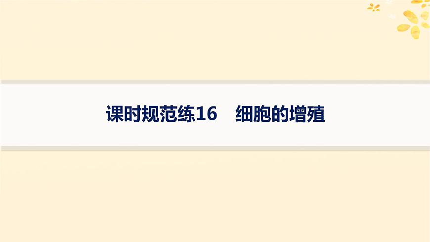 備戰(zhàn)2025屆新高考生物一輪總復(fù)習(xí)第4單元細(xì)胞的生命歷程課時(shí)規(guī)范練16細(xì)胞的增殖課件第1頁