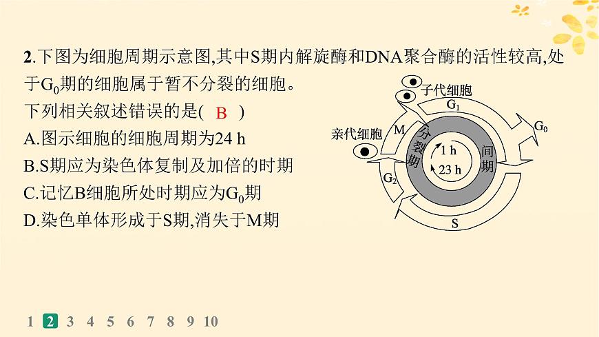 備戰(zhàn)2025屆新高考生物一輪總復(fù)習(xí)第4單元細(xì)胞的生命歷程課時(shí)規(guī)范練16細(xì)胞的增殖課件第5頁