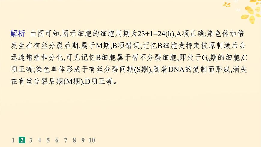 備戰(zhàn)2025屆新高考生物一輪總復(fù)習(xí)第4單元細(xì)胞的生命歷程課時(shí)規(guī)范練16細(xì)胞的增殖課件第6頁