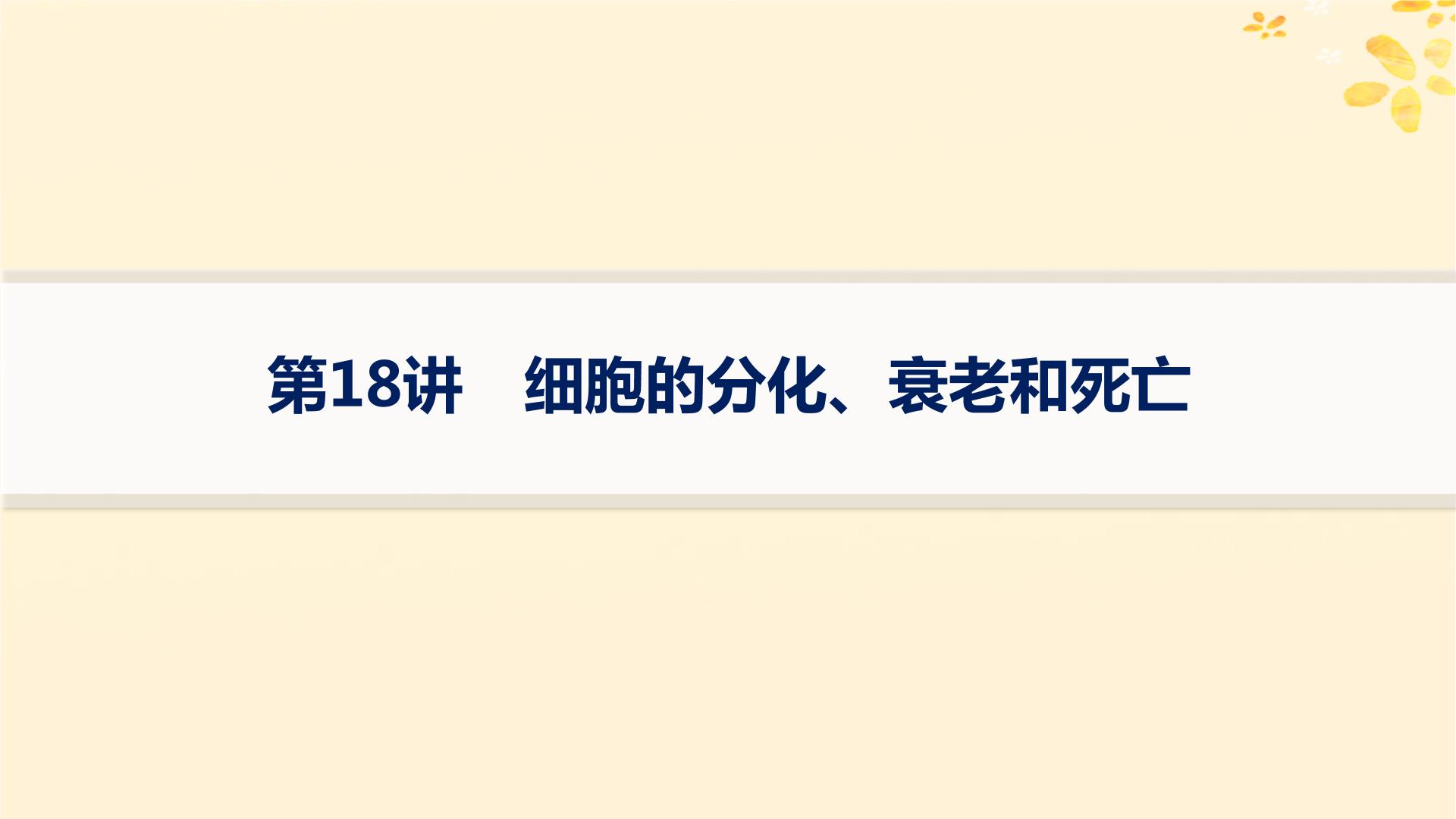 备战2025届新高考生物一轮总复习第4单元细胞的生命历程第18讲细胞的分化衰老和死亡课件