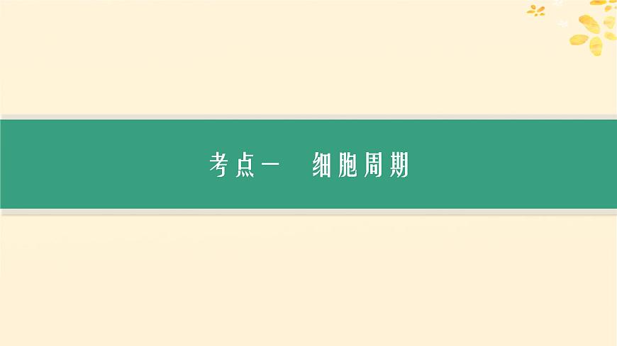 備戰(zhàn)2025屆新高考生物一輪總復(fù)習(xí)第4單元細胞的生命歷程第16講細胞的增殖課件第3頁
