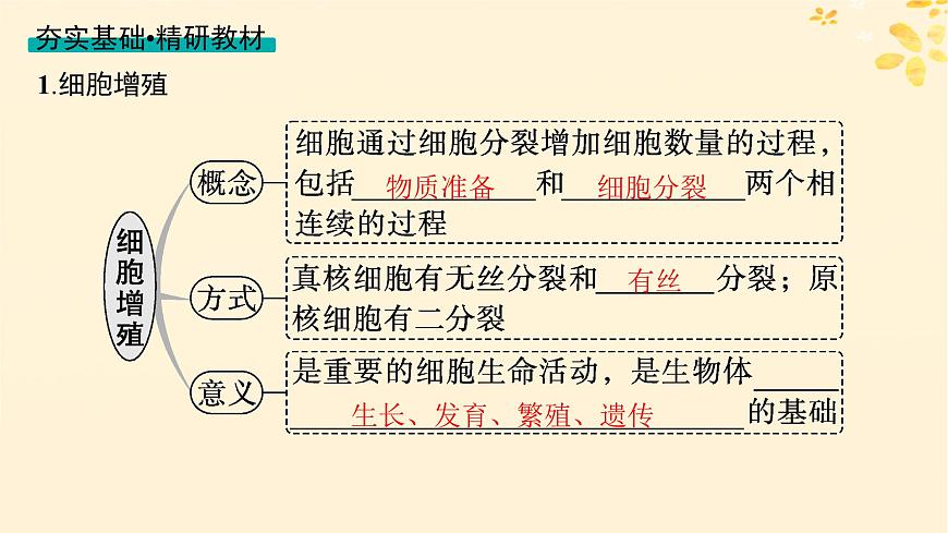 備戰(zhàn)2025屆新高考生物一輪總復(fù)習(xí)第4單元細胞的生命歷程第16講細胞的增殖課件第4頁