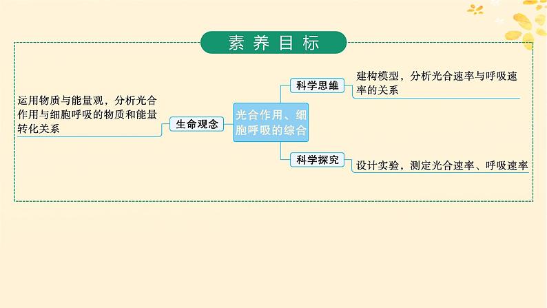备战2025届新高考生物一轮总复习第3单元细胞的代谢第15讲光合作用细胞呼吸的联系与综合运用课件第2页