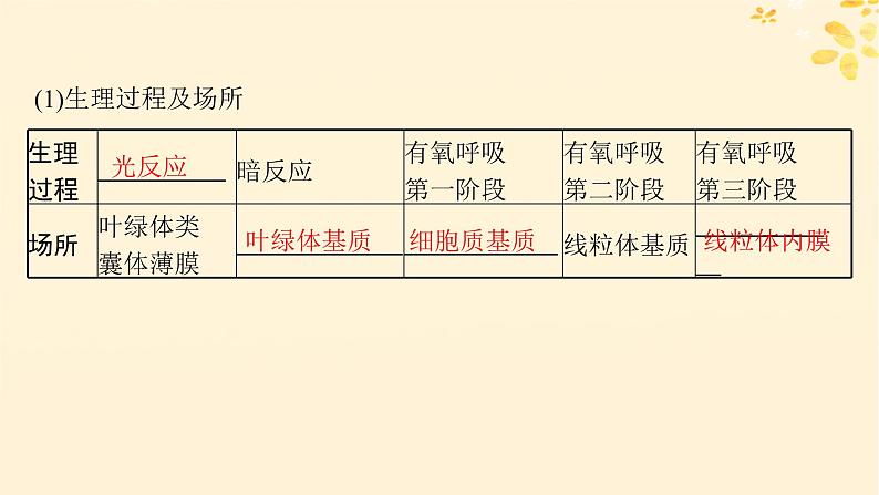 备战2025届新高考生物一轮总复习第3单元细胞的代谢第15讲光合作用细胞呼吸的联系与综合运用课件第5页