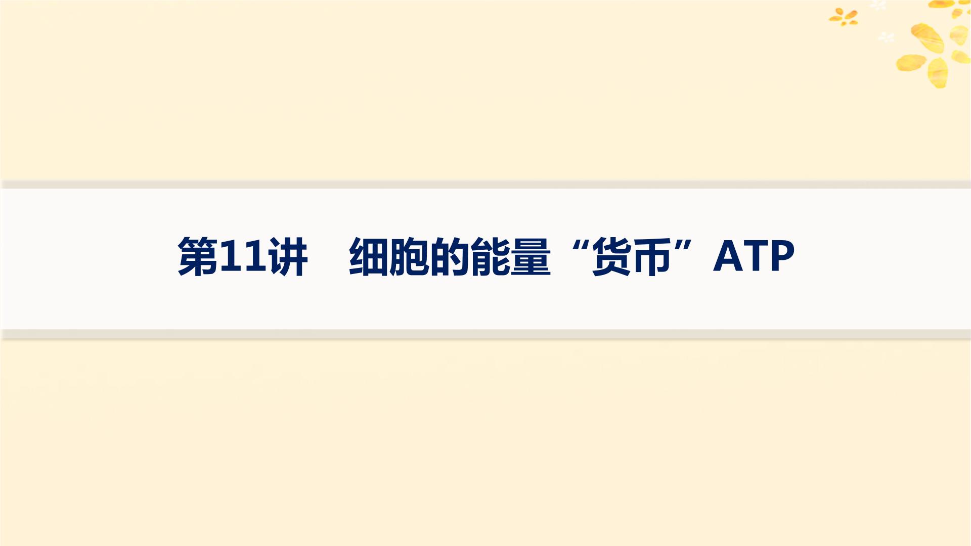 备战2025届新高考生物一轮总复习第3单元细胞的代谢第11讲细胞的能量“货币”ATP课件