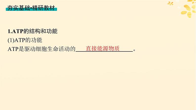 备战2025届新高考生物一轮总复习第3单元细胞的代谢第11讲细胞的能量“货币”ATP课件第3页