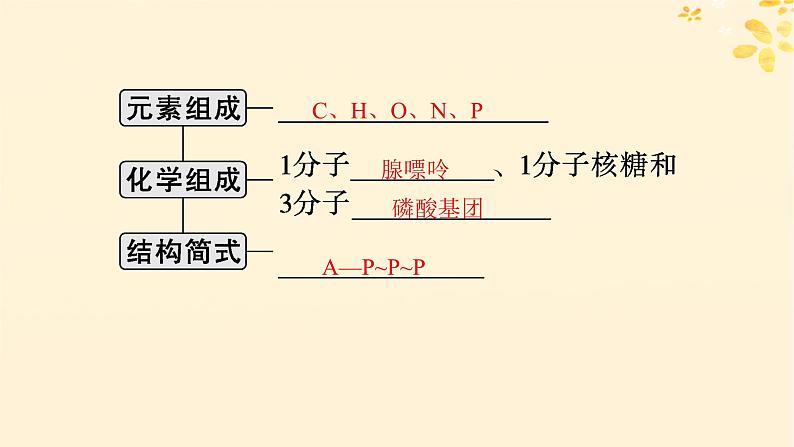 备战2025届新高考生物一轮总复习第3单元细胞的代谢第11讲细胞的能量“货币”ATP课件第5页