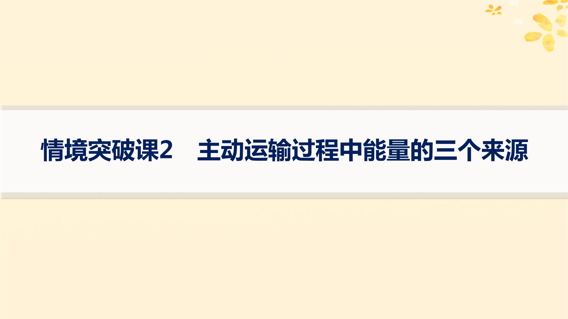 备战2025届新高考生物一轮总复习第2单元细胞的基本结构及物质运输情境突破课2主动运输过程中能量的三个来源课件