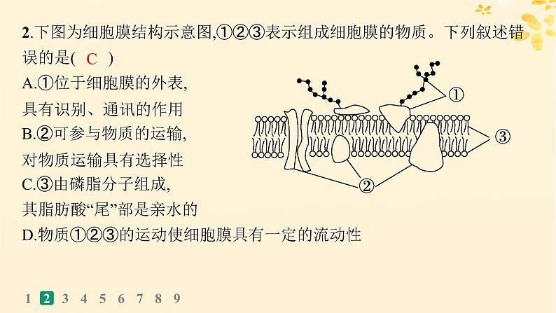 备战2025届新高考生物一轮总复习第2单元细胞的基本结构及物质运输课时规范练5细胞膜课件第5页