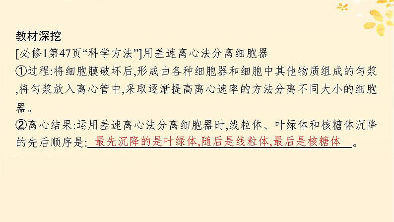备战2025届新高考生物一轮总复习第2单元细胞的基本结构及物质运输第6讲细胞器与生物膜系统课件第5页