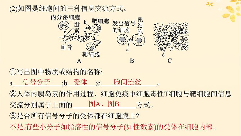 备战2025届新高考生物一轮总复习第2单元细胞的基本结构及物质运输第5讲细胞膜课件第8页