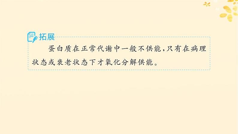 备战2025届新高考生物一轮总复习第1单元细胞的概述细胞的分子组成第3讲蛋白质的结构与功能课件04