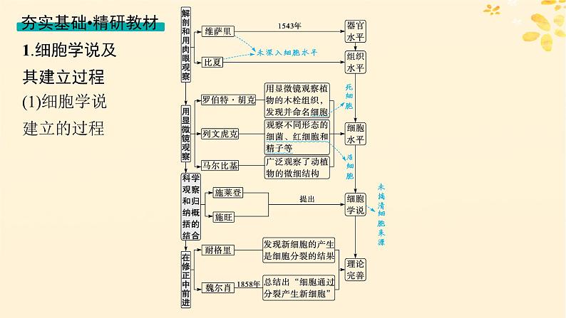 备战2025届新高考生物一轮总复习第1单元细胞的概述细胞的分子组成第1讲走近细胞课件第4页