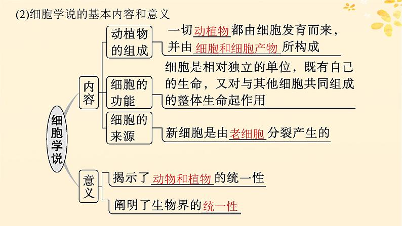 备战2025届新高考生物一轮总复习第1单元细胞的概述细胞的分子组成第1讲走近细胞课件第6页