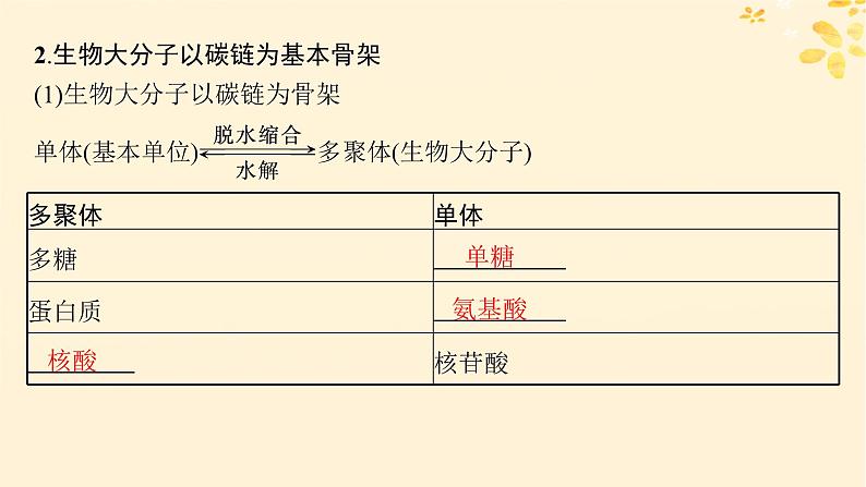备战2025届新高考生物一轮总复习第1单元细胞的概述细胞的分子组成第4讲核酸生物大分子的多样性课件第7页