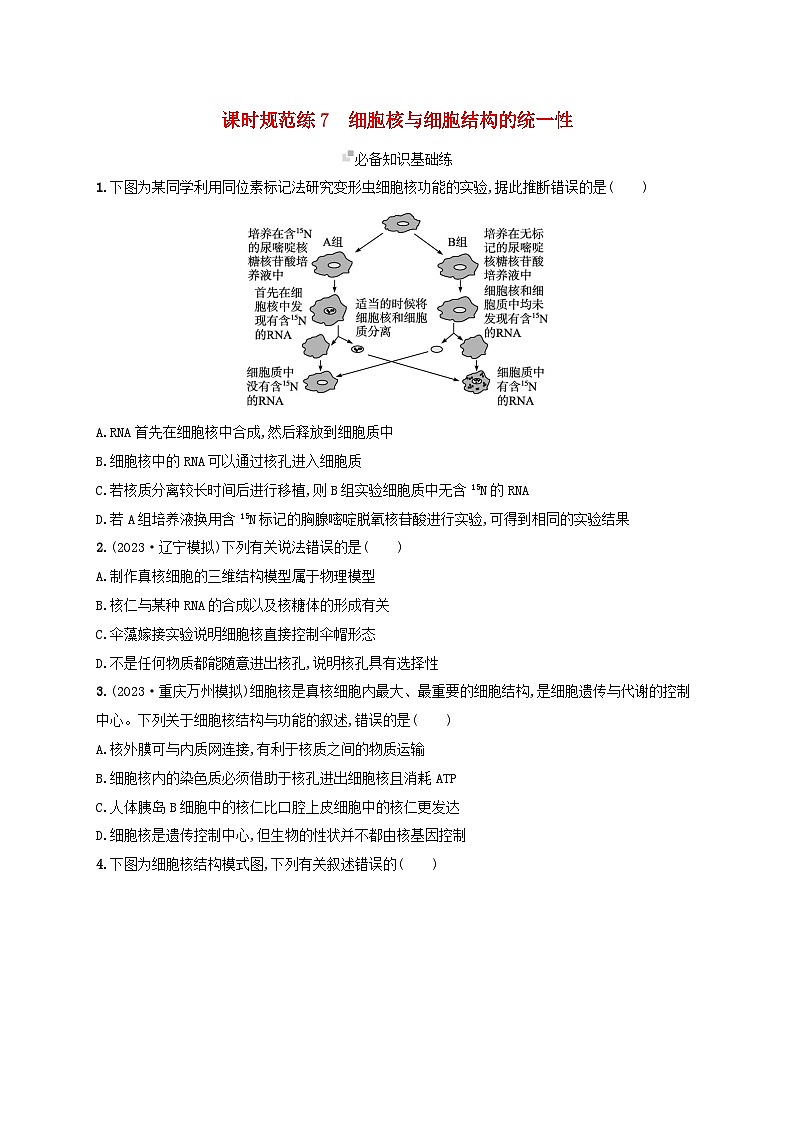 备战2025届高考生物一轮总复习第2单元细胞的基本结构及物质运输课时规范练7细胞核与细胞结构的统一性01