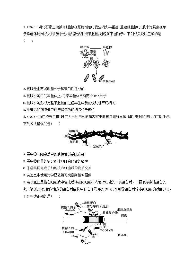 备战2025届高考生物一轮总复习第2单元细胞的基本结构及物质运输课时规范练7细胞核与细胞结构的统一性03