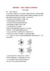 备战2025届高考生物一轮总复习第2单元细胞的基本结构及物质运输课时规范练9物质出入细胞的方式及影响因素