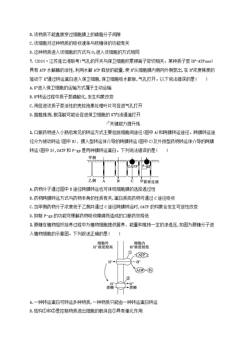 备战2025届高考生物一轮总复习第2单元细胞的基本结构及物质运输课时规范练9物质出入细胞的方式及影响因素03