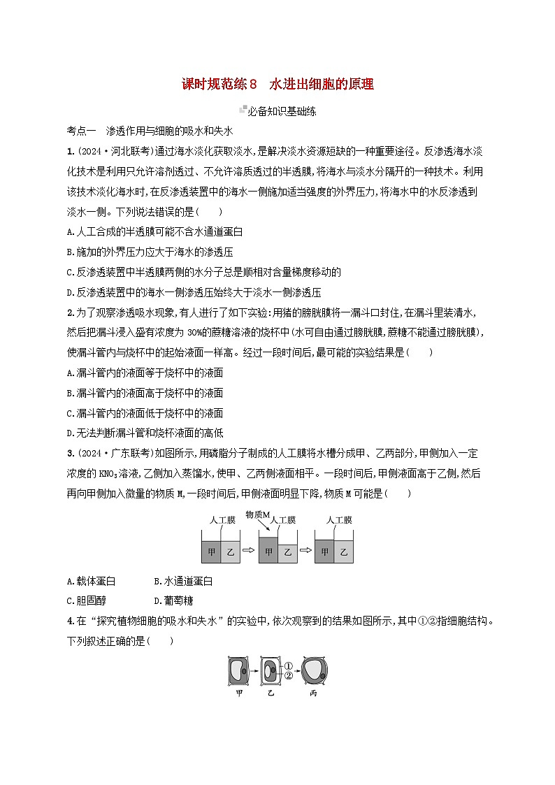 备战2025届高考生物一轮总复习第2单元细胞的基本结构及物质运输课时规范练8水进出细胞的原理01