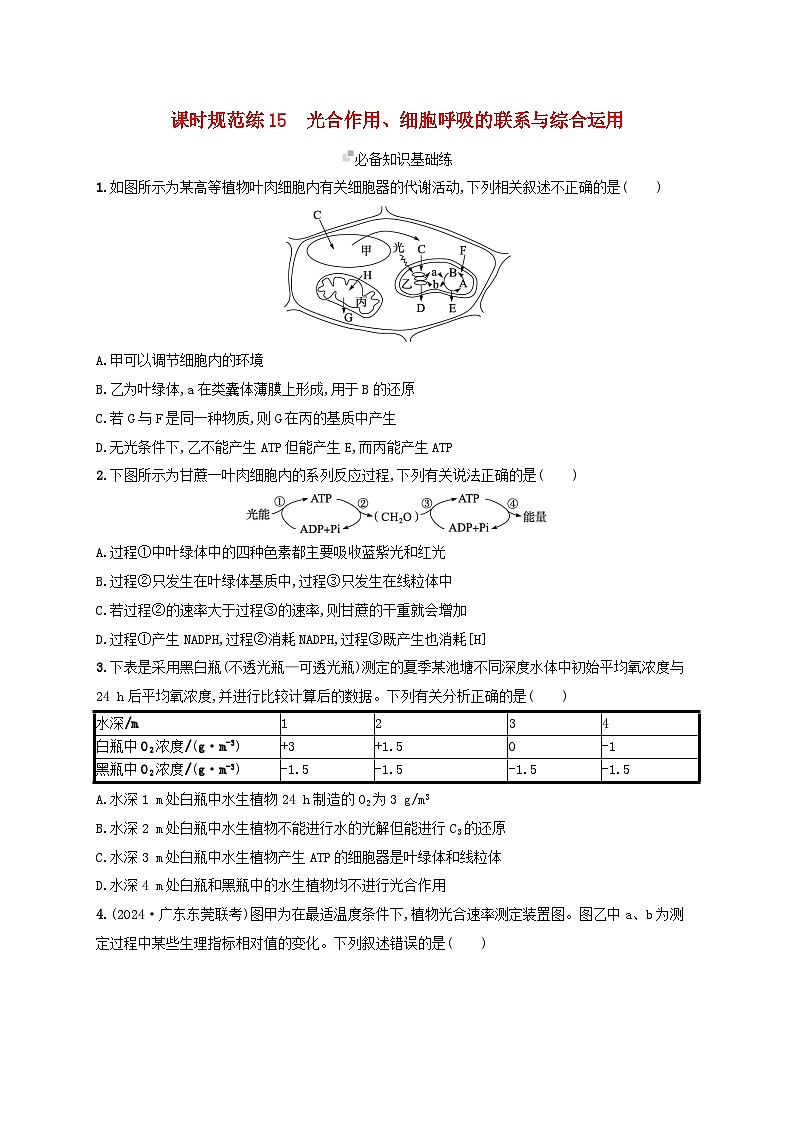 备战2025届高考生物一轮总复习第3单元细胞的代谢课时规范练15光合作用细胞呼吸的联系与综合运用01