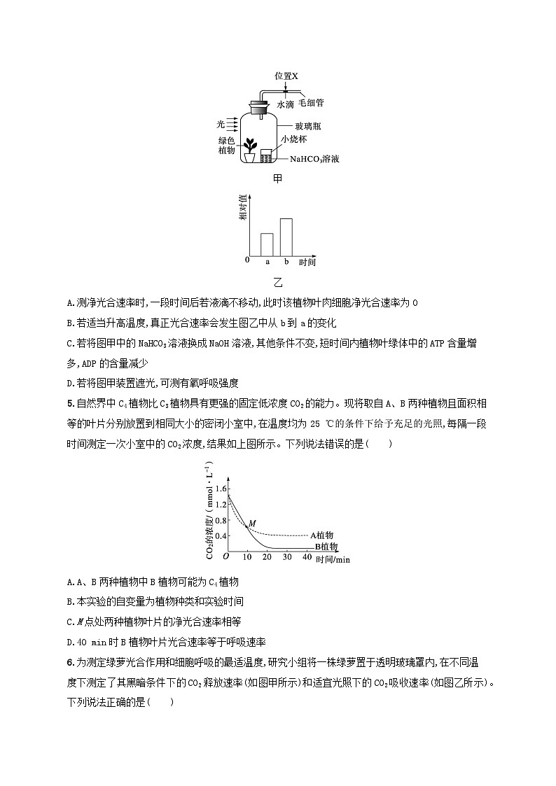 备战2025届高考生物一轮总复习第3单元细胞的代谢课时规范练15光合作用细胞呼吸的联系与综合运用02