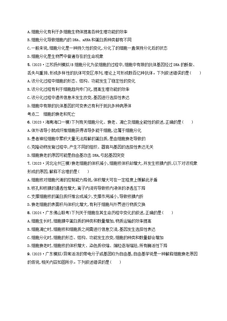 备战2025届高考生物一轮总复习第4单元细胞的生命历程课时规范练18细胞的分化衰老和死亡02