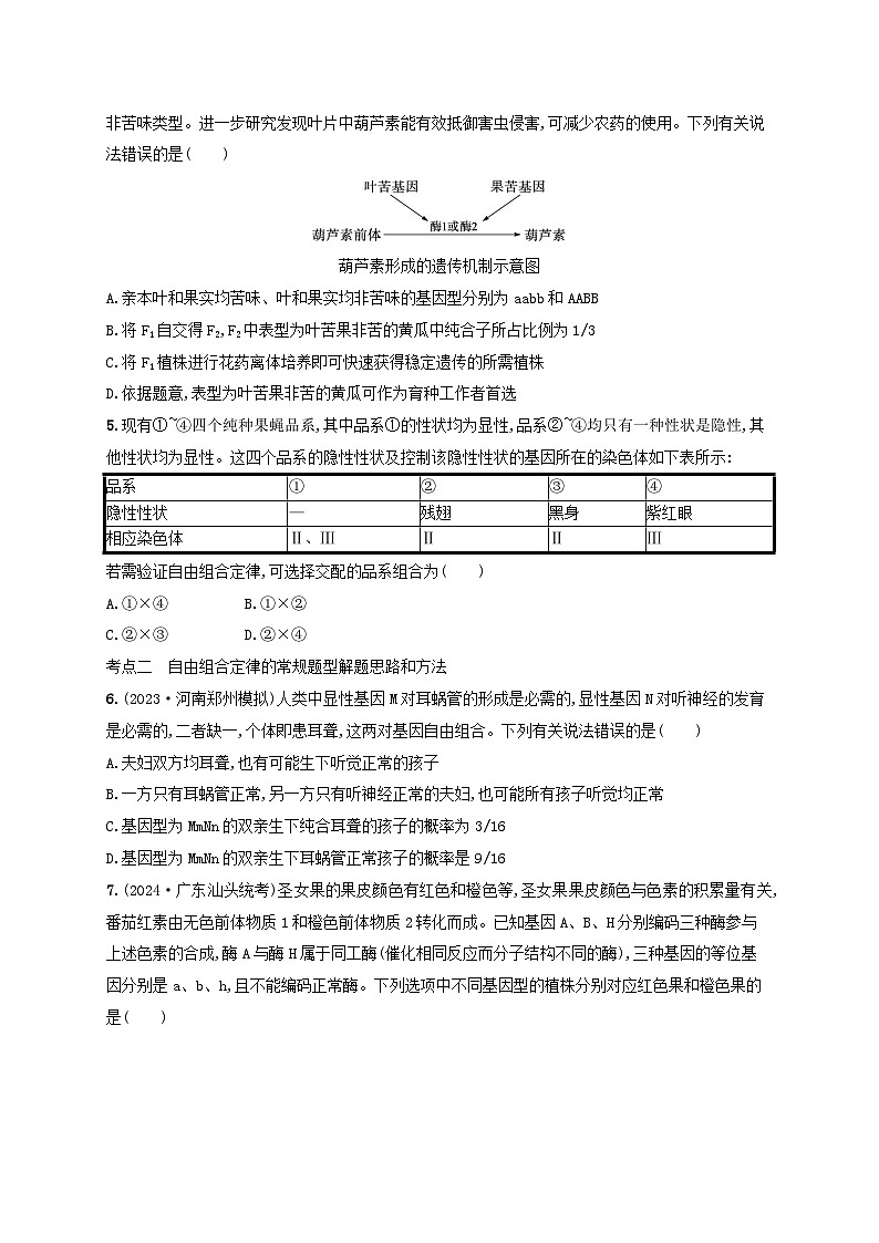备战2025届高考生物一轮总复习第5单元孟德尔遗传定律与伴性遗传课时规范练20孟德尔的豌豆杂交实验二02