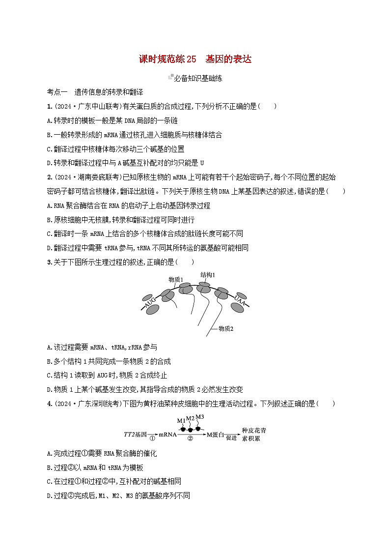备战2025届高考生物一轮总复习第6单元遗传的分子基础课时规范练25基因的表达第1页