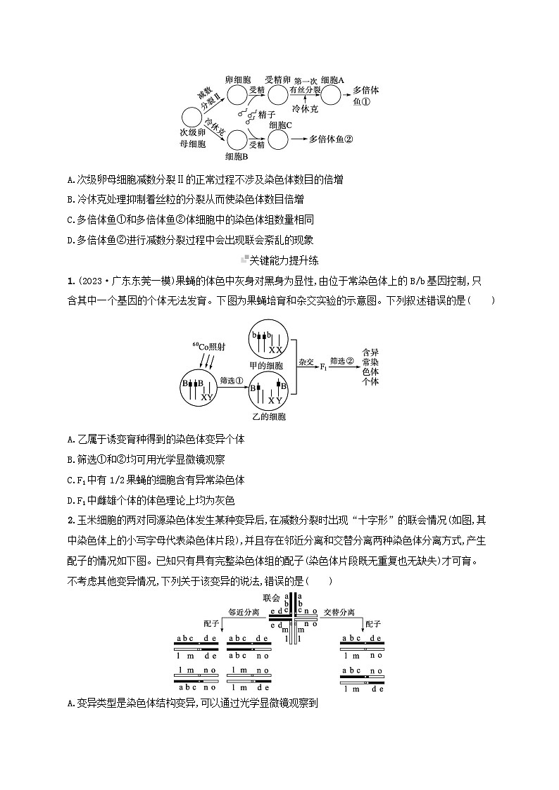 备战2025届高考生物一轮总复习第7单元生物的变异和进化课时规范练28染色体变异与育种第3页